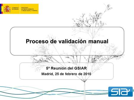 Proceso de validación manual 5ª Reunión del GSIAR Madrid, 25 de febrero de 2010.