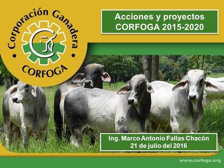 Acciones y proyectos CORFOGA 2015-2020 Ing. Marco Antonio Fallas Chacón 21 de julio del 2016 Ing. Marco Antonio Fallas Chacón 21 de julio del 2016.