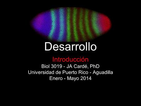 Biología del Desarrollo Introducción Biol 3019 - JA Cardé, PhD Universidad de Puerto Rico - Aguadilla Enero - Mayo 2014.
