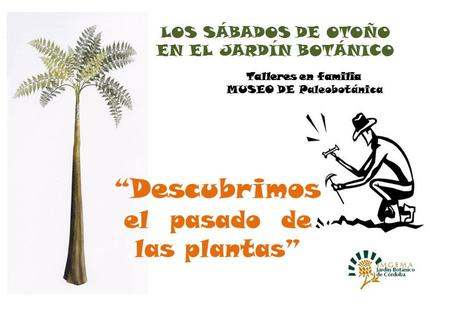 “ Descubrimos el pasado de las plantas” Talleres en familia LOS SÁBADOS DE OTOÑO EN EL JARDÍN BOTÁNICO.