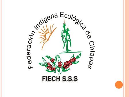 FEDERACION INDIGENA Y ECOLOGICA DE CHIAPAS FIECH S. DE S.S. 32 organizaciones 14 organizaciones de productores 15 organizaciones de distinto ende 3 organizaciones.