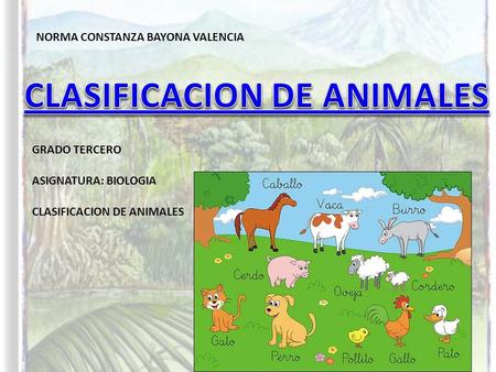 NORMA CONSTANZA BAYONA VALENCIA GRADO TERCERO ASIGNATURA: BIOLOGIA CLASIFICACION DE ANIMALES.