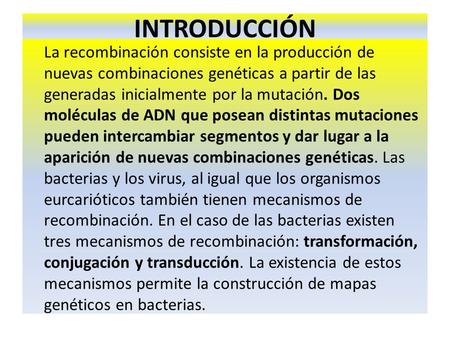 INTRODUCCIÓN La recombinación consiste en la producción de nuevas combinaciones genéticas a partir de las generadas inicialmente por la mutación. Dos moléculas.