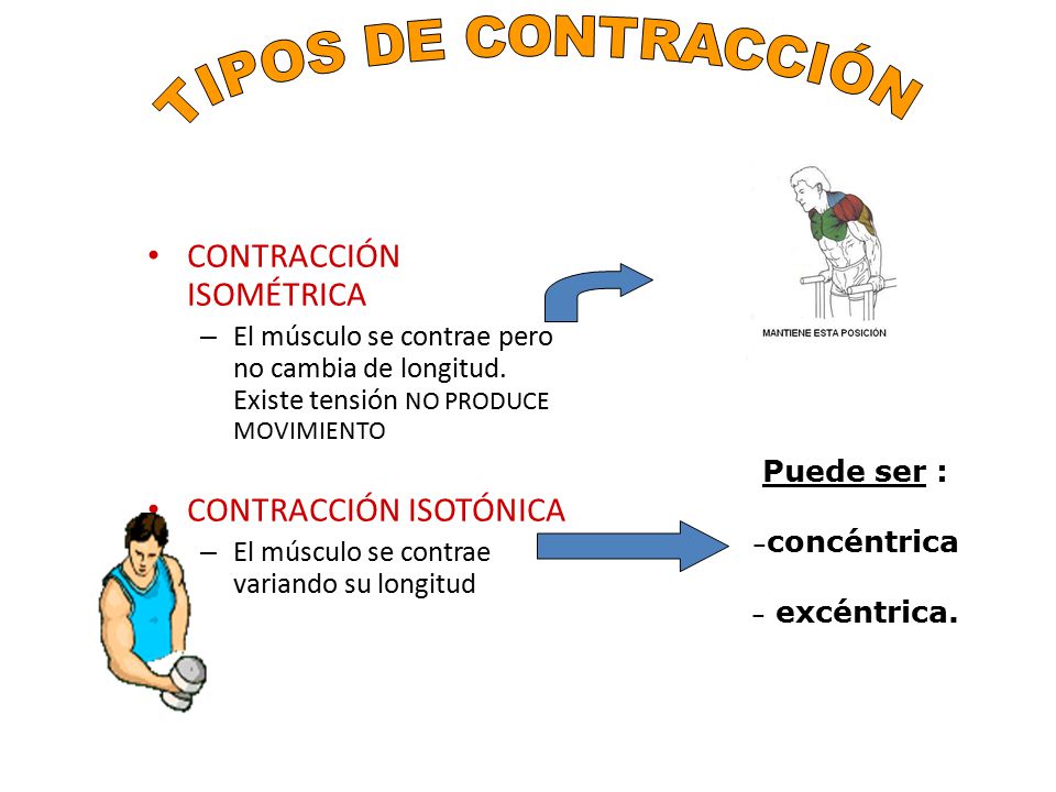 FUERZA. - ppt video online descargar FUERZA. - ppt video online descargar