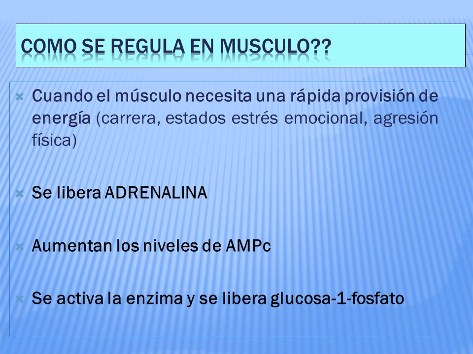 BOLILLA 4: Metabolismo de hidratos de carbono. - ppt descargar BOLILLA 4: Metabolismo de hidratos de carbono. - ppt descargar