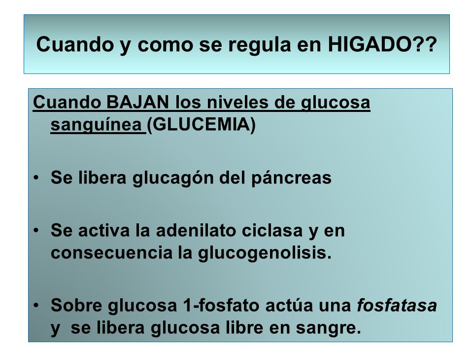 METABOLISMO DEL GLUCOGENO - ppt descargar METABOLISMO DEL GLUCOGENO - ppt descargar