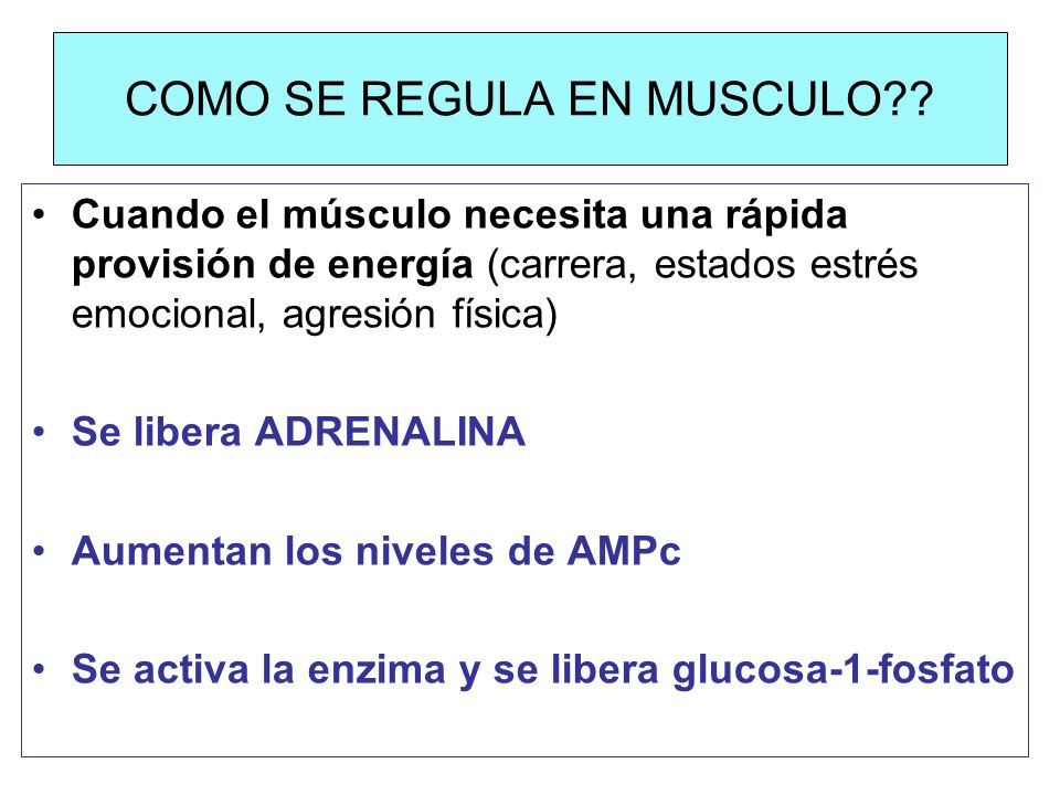METABOLISMO DEL GLUCOGENO - ppt descargar METABOLISMO DEL GLUCOGENO - ppt descargar