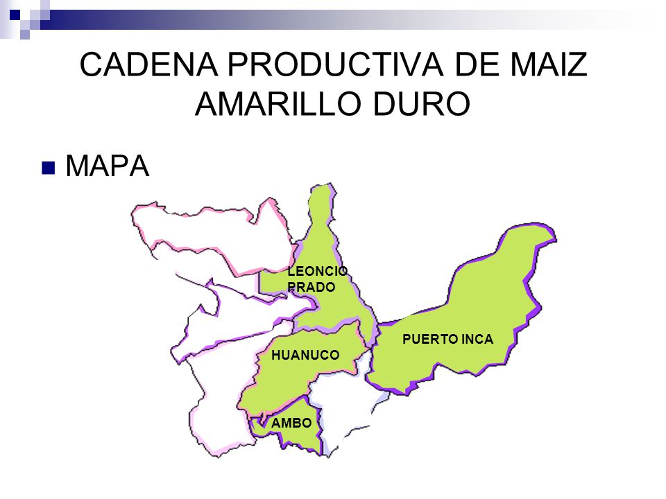 cadena productiva maiz intenciones de siembra ca 209 a dra huanuco mayo ppt descargar cadena productiva maiz intenciones de siembra ca 209 a dra huanuco mayo ppt descargar