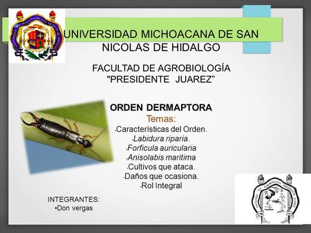 UNIVERSIDAD MICHOACANA DE SAN NICOLAS DE HIDALGO FACULTAD DE AGROBIOLOGÍA PRESIDENTE JUAREZ” ORDEN DERMAPTORA Temas: Características del Orden. Labidura.