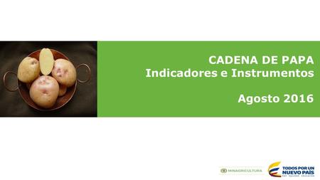 CADENA DE PAPA Indicadores e Instrumentos Agosto 2016.