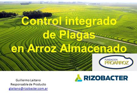 Control integrado de Plagas en Arroz Almacenado Guillermo Laitano Responsable de Producto