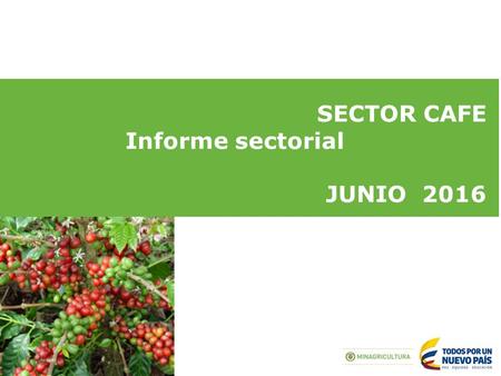 SECTOR CAFE Informe sectorial JUNIO Indicadores.