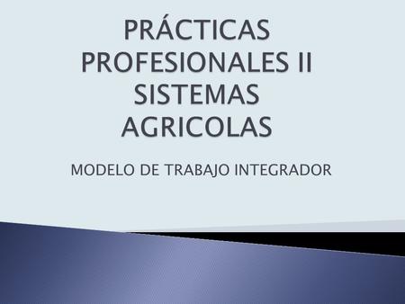 MODELO DE TRABAJO INTEGRADOR. MÓDULO PRÁCTICAS PROFESIONALES II (Sistemas Agrícolas) Año Trabajo final de integración y transferencia Análisis, Diagnóstico.