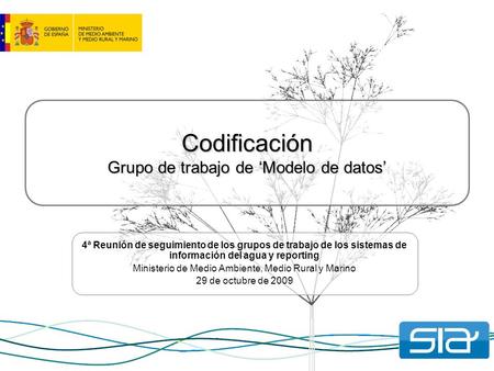 Codificación Grupo de trabajo de ‘Modelo de datos’ 4ª Reunión de seguimiento de los grupos de trabajo de los sistemas de información del agua y reporting.