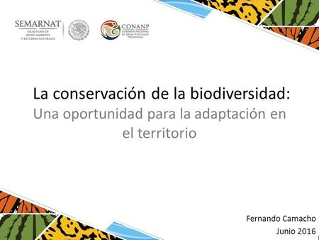 La conservación de la biodiversidad: Una oportunidad para la adaptación en el territorio Fernando Camacho Junio 2016.