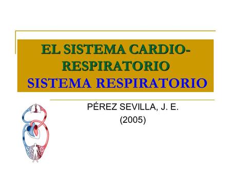 EL SISTEMA CARDIO- RESPIRATORIO EL SISTEMA CARDIO- RESPIRATORIO SISTEMA RESPIRATORIO PÉREZ SEVILLA, J. E. (2005)