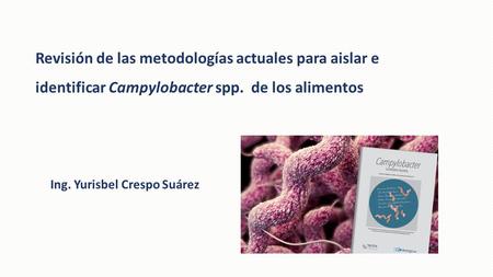 Revisión de las metodologías actuales para aislar e identificar Campylobacter spp. de los alimentos Ing. Yurisbel Crespo Suárez.