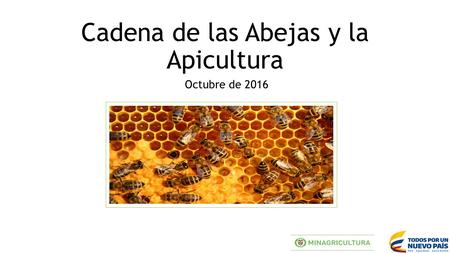 Cadena de las Abejas y la Apicultura Octubre de 2016.