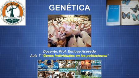 GENÉTICA Docente: Prof. Enrique Acevedo Aula 7 “Genes individuales en las poblaciones” 1.