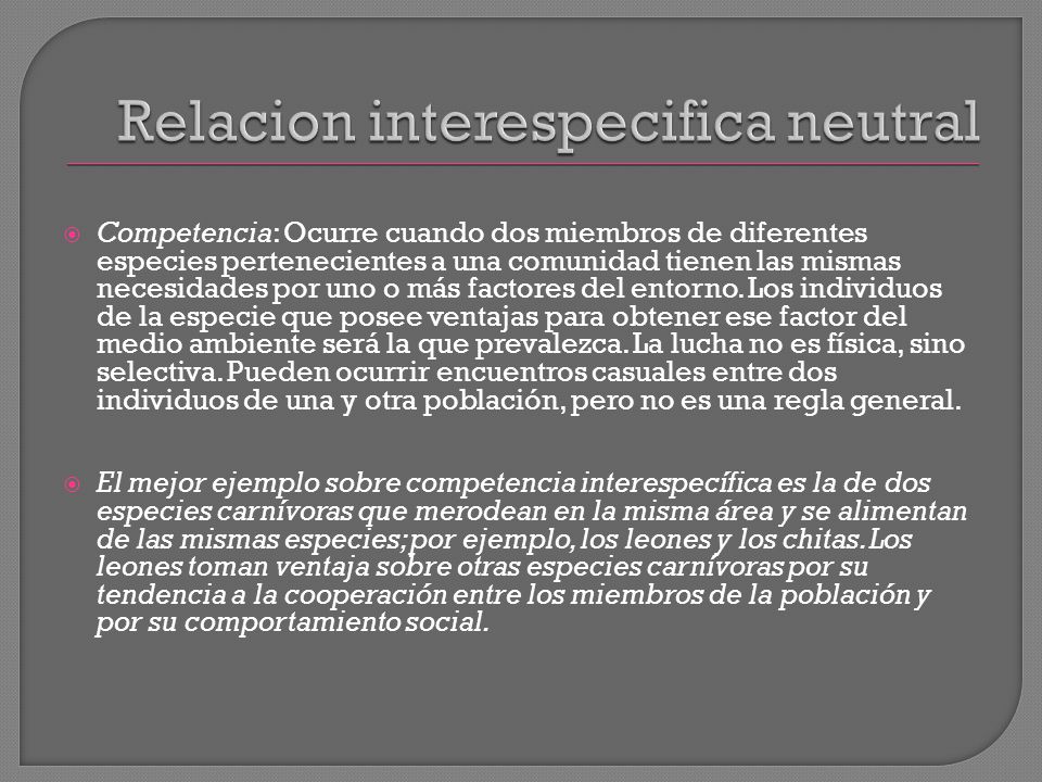 la otra competencia los mejores looks en la alfombra roja de los mart 237 n fierro noticia de relaciones intraespecificas interespecificas ppt descargar la otra competencia los mejores looks en la alfombra roja de los mart 237 n fierro noticia de relaciones intraespecificas interespecificas ppt descargar