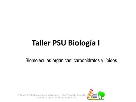 Taller PSU Biología I Prof. María Alicia Bravo. Colegio Senda Nueva -  Chile – ( 56-2 ) – / Biomoléculas.