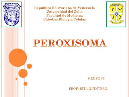 República Bolivariana de Venezuela Universidad del Zulia Facultad de Medicina Cátedra: Biología Celular PROF: RITA QUINTERO. GRUPO #6.