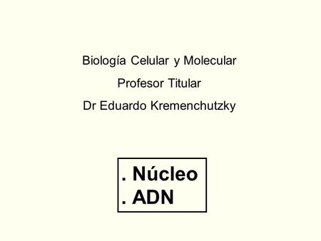 . Núcleo. ADN Biología Celular y Molecular Profesor Titular Dr Eduardo Kremenchutzky.