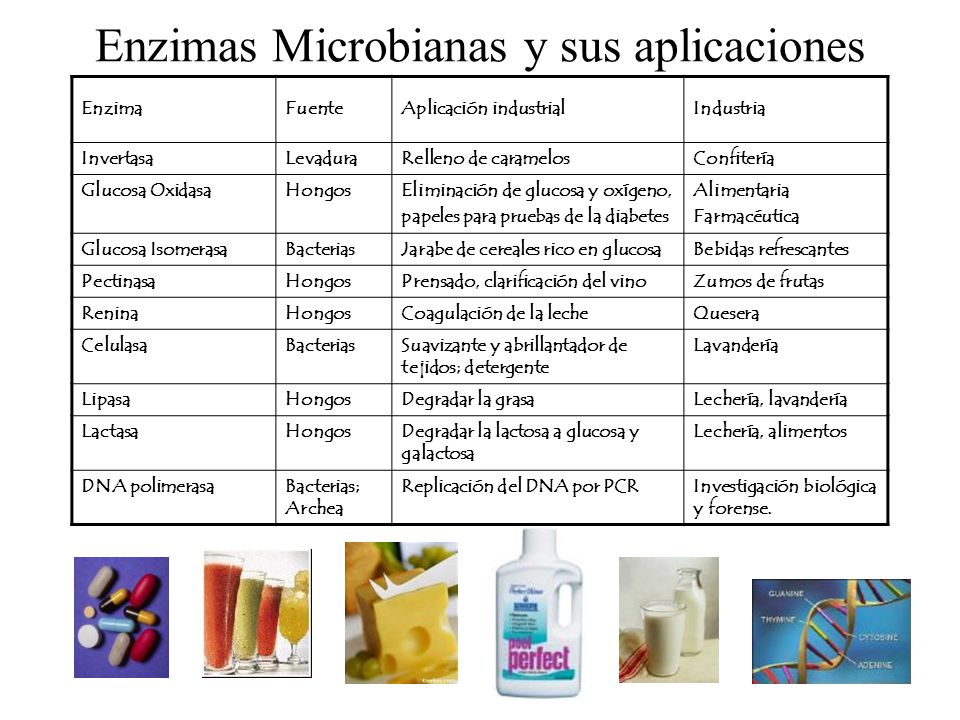 Enzimas y Proteínas de Interés Industrial - ppt video Enzimas y Proteínas de Interés Industrial - ppt video