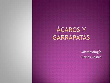 Microbiología Carlos Castro.  Artrópodos microscópicos miden entre 0,25 y 0,35 micras, ciegos, fotofóbicos  Tiene un ciclo de crecimiento (de huevo.