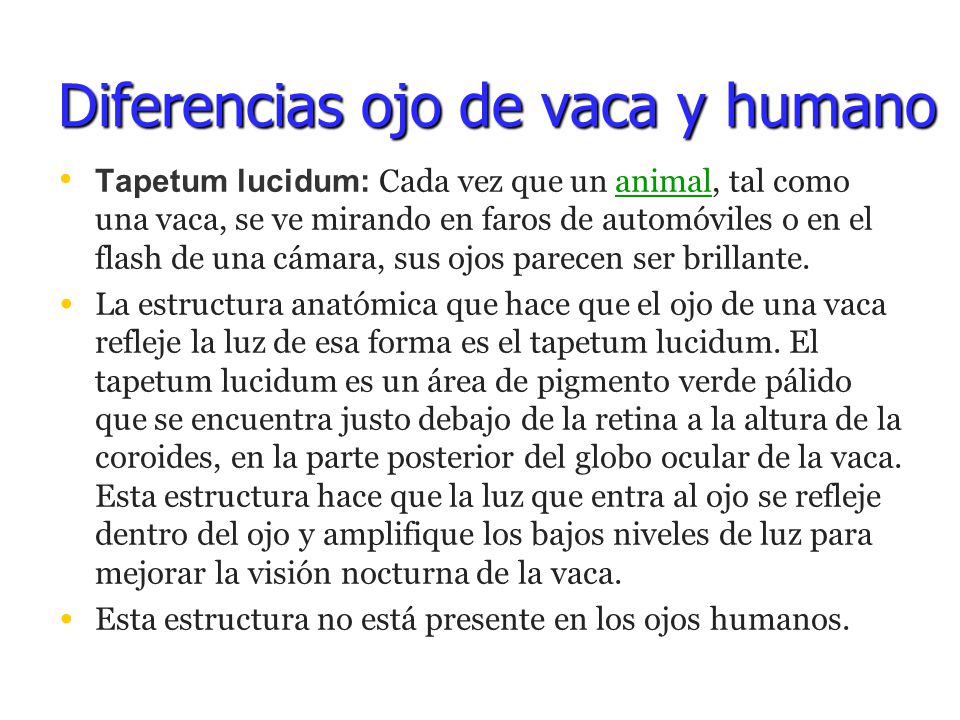 adelgazar 3 kilos en 15 dias Muchos adelgazar 3 kilos en 15 dias tiene mucho exceso