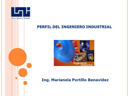 PERFIL DEL INGENIERO INDUSTRIAL Ing. Marianela Portillo Benavidez.