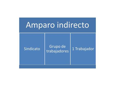 Amparo indirecto Sindicato Grupo de trabajadores 1 Trabajador.