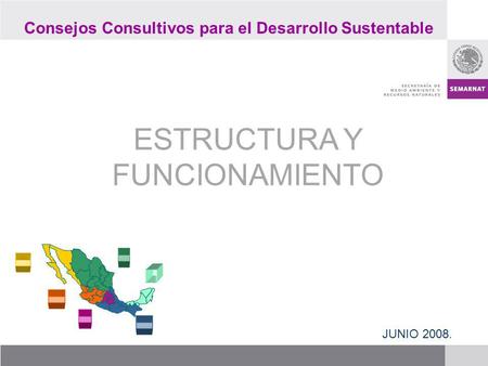 ESTRUCTURA Y FUNCIONAMIENTO JUNIO 2008. Consejos Consultivos para el Desarrollo Sustentable.