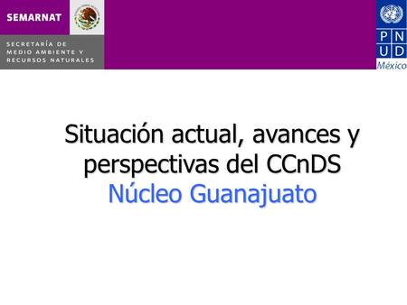 Situación actual, avances y perspectivas del CCnDS Núcleo Guanajuato.