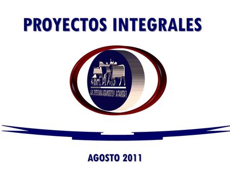 PROYECTOS INTEGRALES AGOSTO 2011.