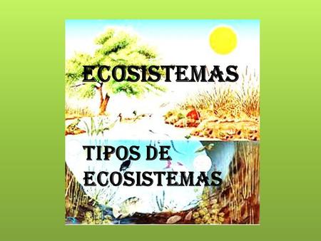 Ecosistemas Tipos de ecosistemas.