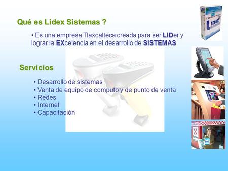 Qué es Lidex Sistemas ? Servicios