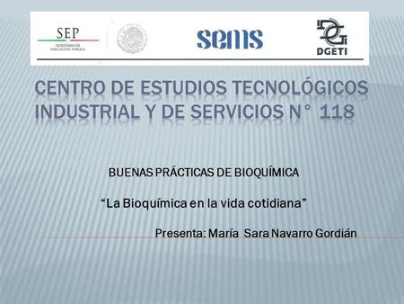 Centro de Estudios Tecnológicos Industrial y de Servicios N° 118