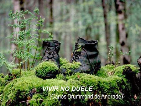 VIVIR NO DUELE      (Carlos Drummond de Andrade)