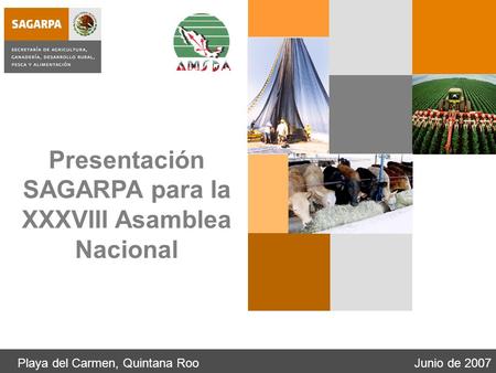 Playa del Carmen, Quintana RooJunio de 2007 Presentación SAGARPA para la XXXVIII Asamblea Nacional.