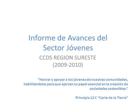 Informe de Avances del Sector Jóvenes CCDS REGION SURESTE (2009-2010) Honrar y apoyar a los jóvenes de nuestras comunidades, habilitándolos para que ejerzan.