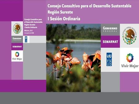 V Sesión Ordinaria Consejo Consultivo para el Desarrollo Sustentable Región Sureste Calakmul, Campeche, Mayo 03, 2010.