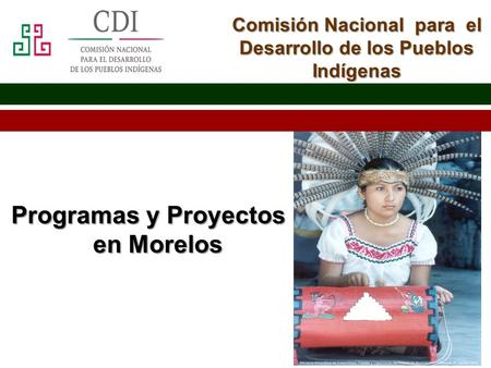 Programas y Proyectos en Morelos