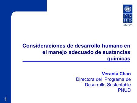 1 Consideraciones de desarrollo humano en el manejo adecuado de sustancias químicas Verania Chao Directora del Programa de Desarrollo Sustentable PNUD.