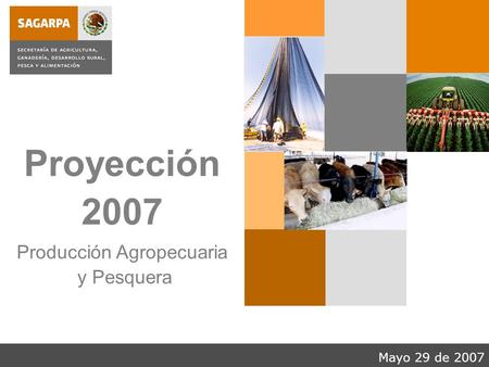 Mayo 29 de 2007 Proyección 2007 Producción Agropecuaria y Pesquera.