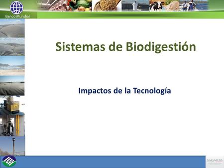 Sistemas de Biodigestión Impactos de la Tecnología.