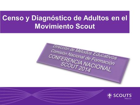 Censo y Diagnóstico de Adultos en el Movimiento Scout