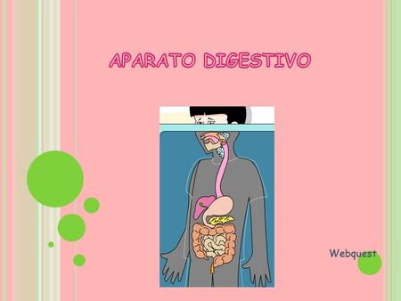 APARATO DIGESTIVO Webquest.