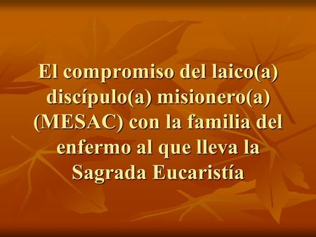 El compromiso del laico(a) discípulo(a) misionero(a) (MESAC) con la familia del enfermo al que lleva la Sagrada Eucaristía.