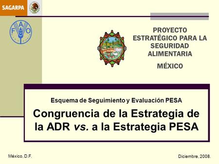 Esquema de Seguimiento y Evaluación PESA Congruencia de la Estrategia de la ADR vs. a la Estrategia PESA México, D.F. Diciembre, 2008. PROYECTO ESTRATÉGICO.